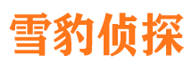 渭滨市侦探公司